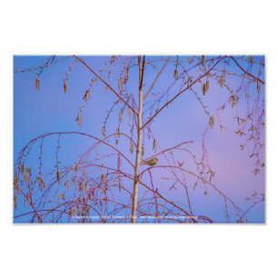 Foto Un secreto al atardecer