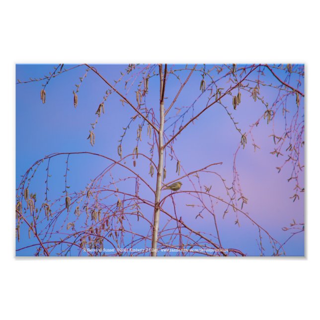 Foto Un secreto al atardecer (Frente)