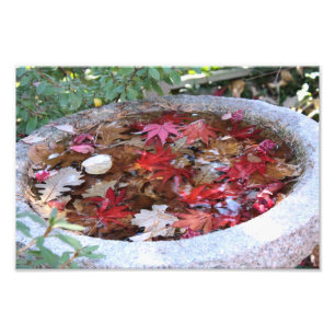 Foto Un servicio de otoño