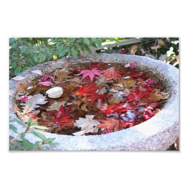 Foto Un servicio de otoño (Frente)