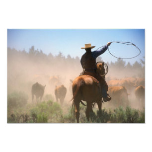 Foto Un vaquero trabajando con el rebaño en una manada