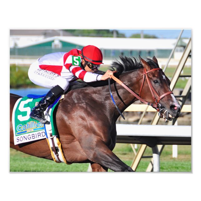 Foto Una canción perfecta (Frente)