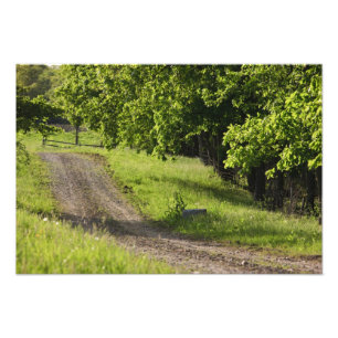 Foto Una carretera agrícola en Ipswich, Massachusetts.