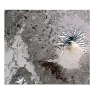 Foto Una ceniza rica en penacho