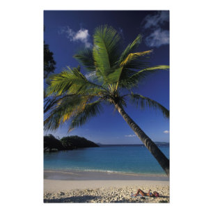 Foto Una de las mejores playas del mundo; Trunk Bay en