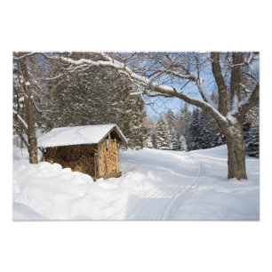 Foto Una escena nevada en el pequeño estanque de Lyford