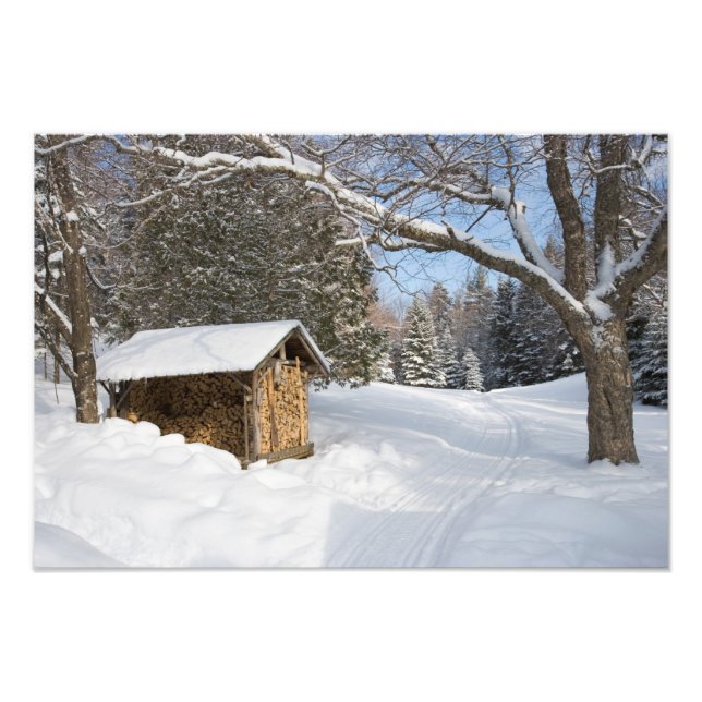 Foto Una escena nevada en el Pequeño Lyford Pond de la  (Frente)