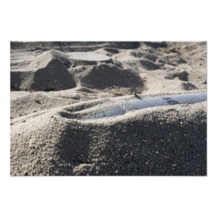 Foto Una exhibición estática de una cáscara de la