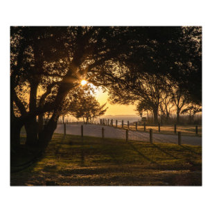 Foto Una Noche En Whalehead