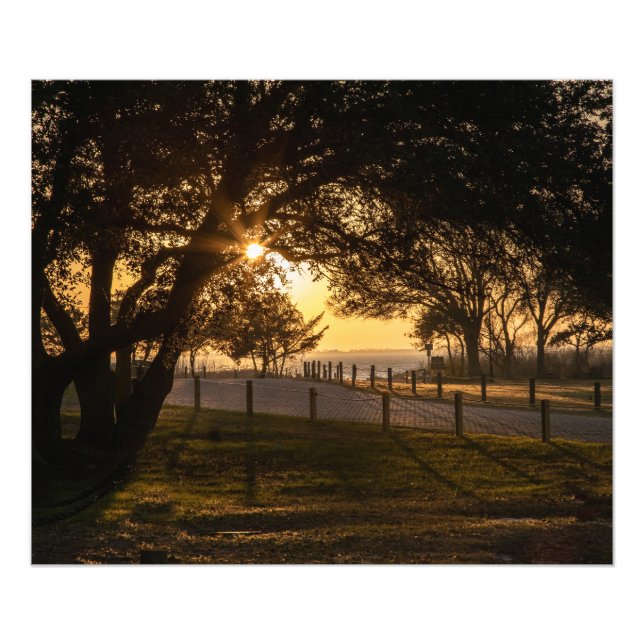 Foto Una Noche En Whalehead (Frente)