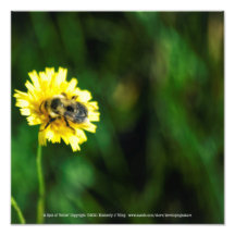 Una olla de amarillo