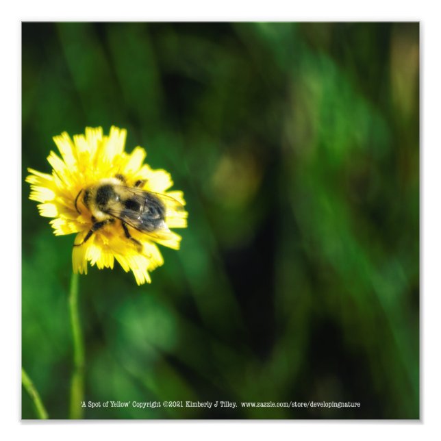 Foto Una olla de amarillo (Frente)