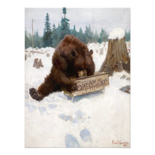 Foto Una oportunidad de oso por Philip Russell Goodwin