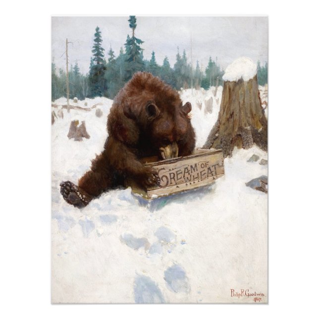 Foto Una oportunidad de oso por Philip Russell Goodwin (Frente)