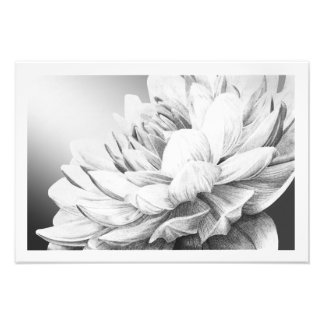 Foto Una ráfaga de primavera (con borde)