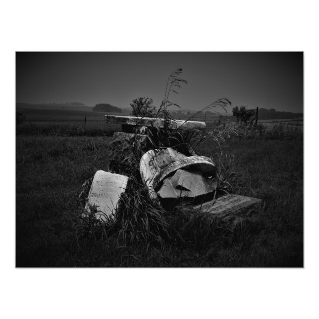 Foto "Una reunión tranquila" (Frente)