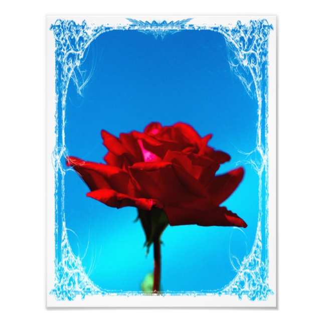 Foto Una rosa roja (Frente)