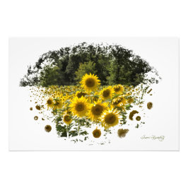 FOTO UNA TALLA EN PIE DE PIE