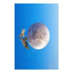 Foto Una vaca y un elefante saltaron sobre la luna