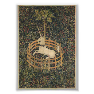 Foto Unicornio en cautiverio