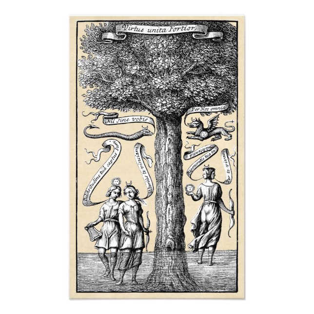 Foto Unión de Opuestos en Alquimia Medieval (Frente)