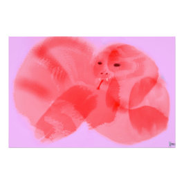 FOTO UNION OF THE SNAKE