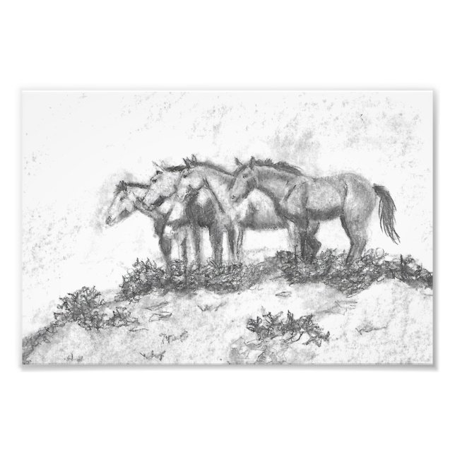 Foto Untamed (Frente)