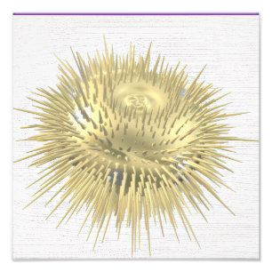 Foto Urchin de oro