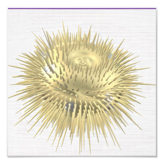 Foto Urchin de oro (Frente)