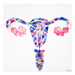 Foto Uterus