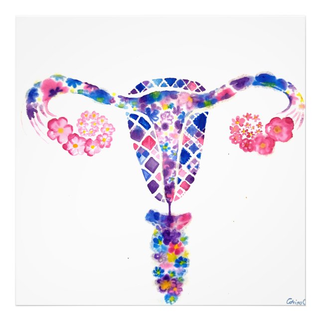 Foto Uterus (Frente)