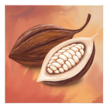 Vaina de cacao 