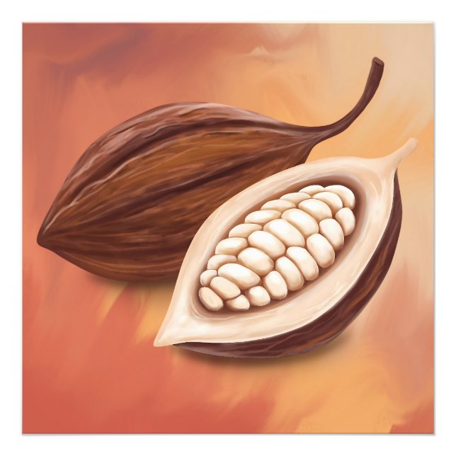 Foto Vaina de cacao  (Frente)