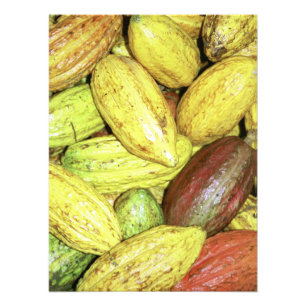 Foto Vainas del cacao