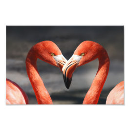 Foto Valentine Flamingo