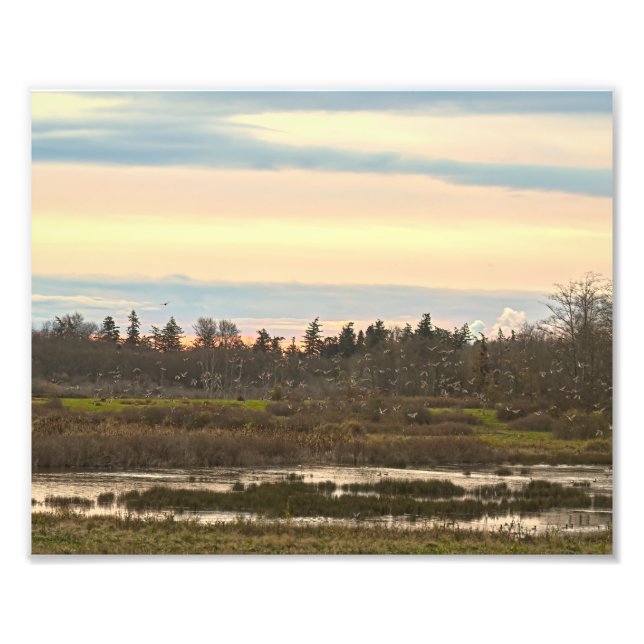 Foto Valle de la isla de Guemes, isla de Guemes (Frente)