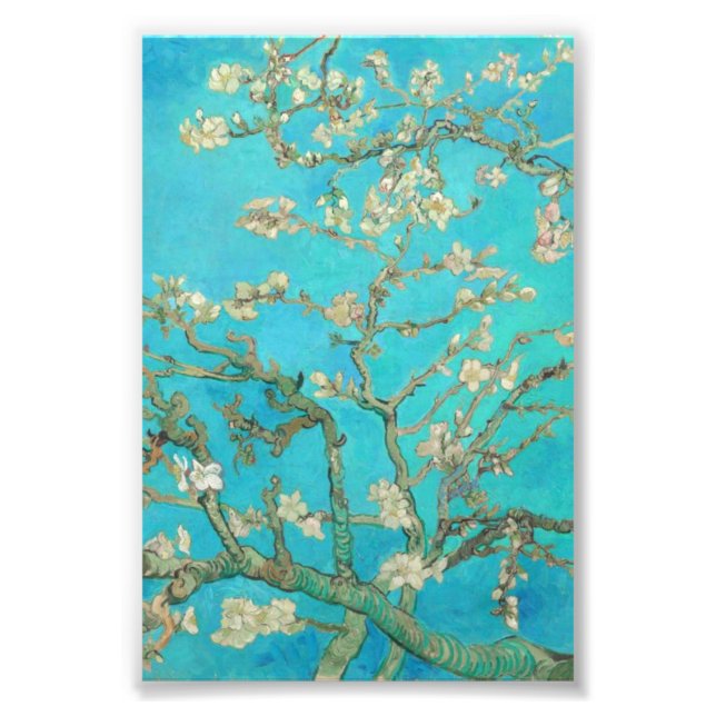 Foto Van Gogh Almond Blossoms (Frente)