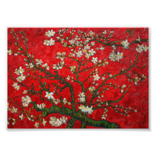 Foto Van Gogh Almond Blossoms Red