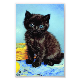 Foto Van Gogh Black Kitten con yarn