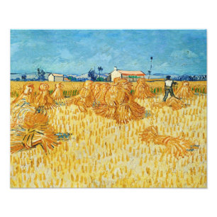 Foto Van Gogh; Cosecha en Provenza