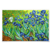 Van Gogh Irises