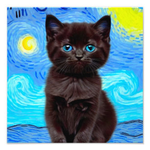 Foto Van Gogh Starry Night Black Cat