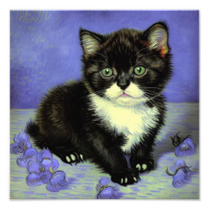 Foto Van Gogh Tuxedo Kitten
