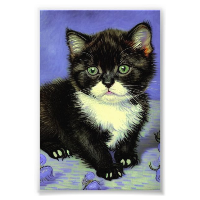 Foto Van Gogh Tuxedo Kitten (Frente)