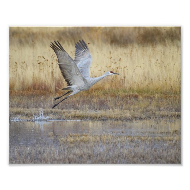 Foto Ven a volar conmigo (Frente)