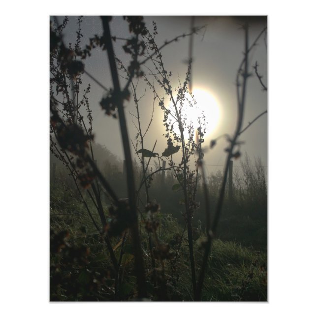 Foto Ver grande en pequeño (Frente)