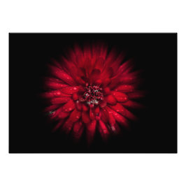 Foto Versión de flujo de color de las flores traseras n