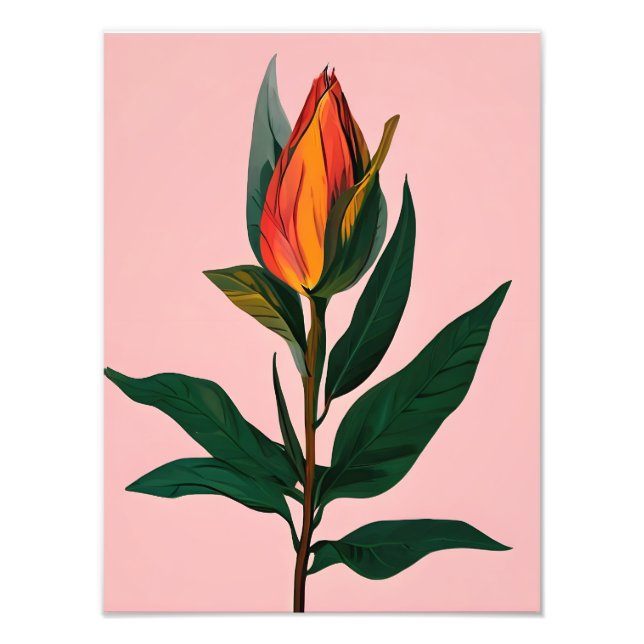 Foto Vibrant Magnolia Bud (Frente)