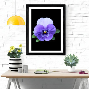 Foto Vibrante Pansy Floral Art Print