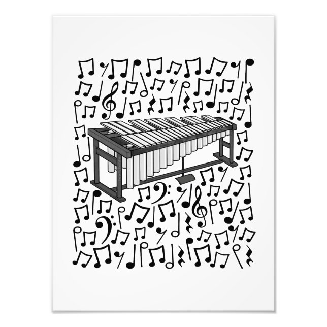 Foto Vibraphone Musical Notes Percussionist Musisisist (Frente)